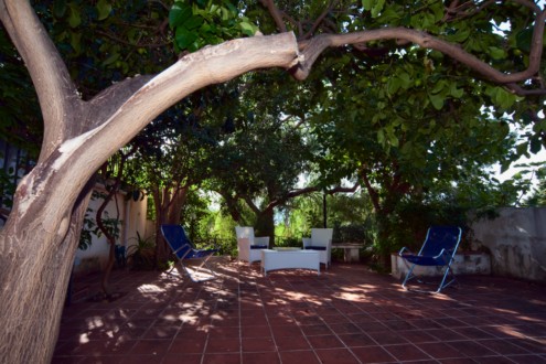  LE JARDIN AVEC LE TERRASSE